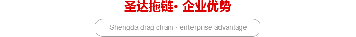 圣達(dá)企業(yè)優(yōu)勢